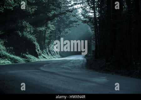 Dark forest with empty road in receding light. Emotional, gothic background, eerie natural scene concept. Stock Photo
