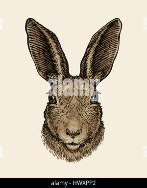 Easter bunny. Portrait of hare, sketch. Vintage vector illustration Stock Vector