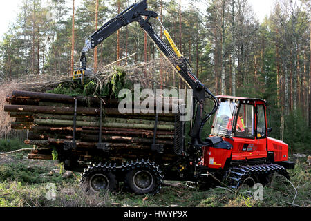 SALO, FINLAND - NOVEMBER 19, 2016: Unnamed operator stacks up wood on the bunk of Komatsu 845 forestry forwarder in forest. Stock Photo