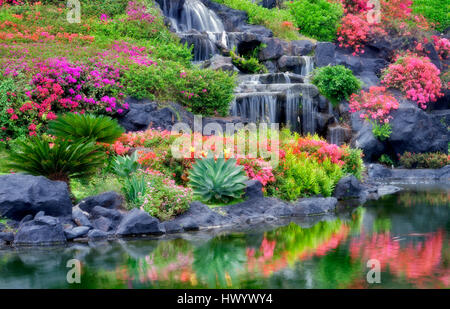 Botanical gardens and waterfall. Stock Photo