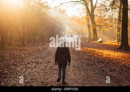 Boy walking through a sun drenched forest Stock Photo