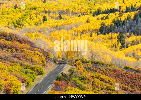 Fall foliage along Colorado Route 92 near Black Canyon of the Gunnison National Park Stock Photo