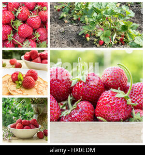 Collage with fresh, ripe strawberries Stock Photo