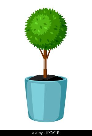 Boxwood topiary garden plant. Decorative tree in flowerpot Stock Vector