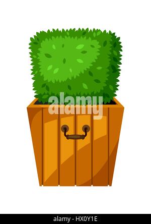Boxwood topiary garden plant. Decorative tree in flowerpot Stock Vector