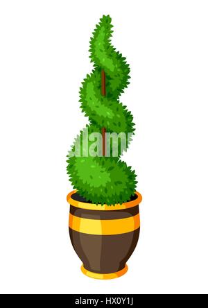 Boxwood topiary garden plant. Decorative tree in flowerpot Stock Vector
