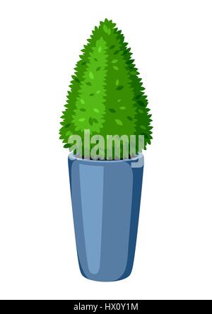 Boxwood topiary garden plant. Decorative tree in flowerpot Stock Vector