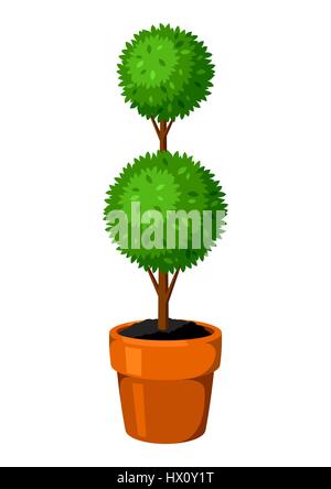 Boxwood topiary garden plant. Decorative tree in flowerpot Stock Vector