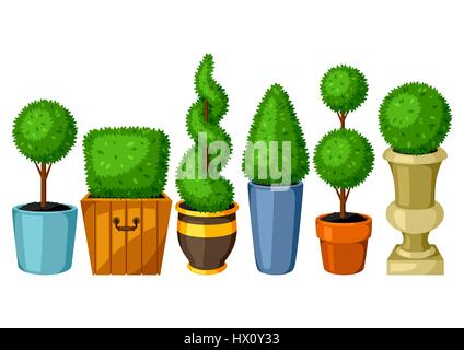 Boxwood topiary garden plants. Set of decorative trees in flowerpots Stock Vector