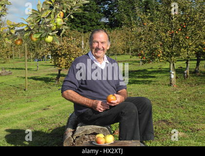 Apple expert, John Hempsall, in his heritage apple orchard at East Markham, during this Nottinghamshire village's annual Apple Day event in autumn Stock Photo