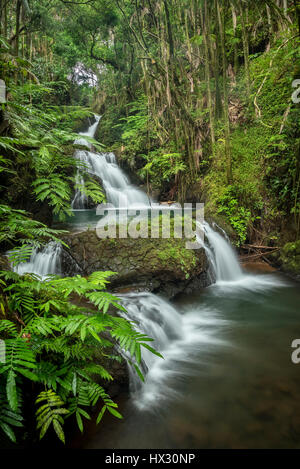 Waterfalls on Onomea Stream, Hawaii Tropical Botanical Garden, Island of Hawaii. Stock Photo