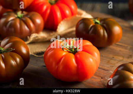 Raw Organic Red and Brown Heirloom Tomatoes Fresh of the Vine Stock Photo