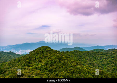 View over the Mossy Forest, forest, cloud forest, fog Rainforest, Cameron Highlands, Tanah Tinggi Cameron, Tanah Rata, Pahang Stock Photo