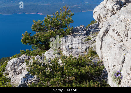 Mount Vidova Gora. Island Brac. Croatia Stock Photo