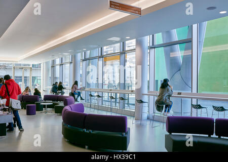 Cafe space. Queen Mary University Graduate Centre, London, United Kingdom. Architect: Wilkinson Eyre Architects, 2017. Stock Photo