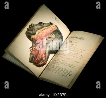 Open medical text showing an anatomical drawing of a black man's head from Drawings of Arteries by Sir Charles Bell (1774-1842), 1970. Courtesy National Library of Medicine. Stock Photo