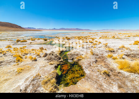 Colorful hot spring with deposits of minerals and algae on the Andean Highlands, Bolivia. Salt lake, mountain range and volcanos in the background on  Stock Photo