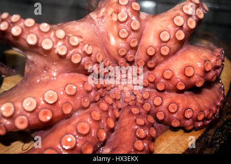 boiled octopus on cutting board ready to be cut Stock Photo