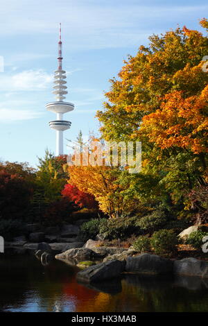 Hamburg  : Japanische Garten mit Fernsehturm im Herbst  I Japanese Garden in Autumn, Hamburg, Germany, Europe Stock Photo