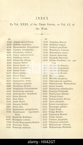 Index   Curtis' 101 (Ser. 3 no. 31) (1875) Stock Photo