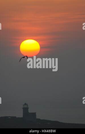 Eastbourne, East Sussex, UK. 24th Mar, 2017. Sunset over Belle Tout lighthouse on the South Downs as temperature starts to fall. Stock Photo