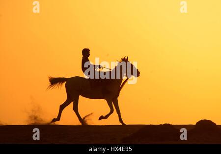 Allahabad, Uttar Pradesh, India. 25th Mar, 2017. Allahabad: A youth enjoying horse ride during Sunset in Allahabad on 25-03-2017. photo by prabhat kumar verma Credit: Prabhat Kumar Verma/ZUMA Wire/Alamy Live News Stock Photo