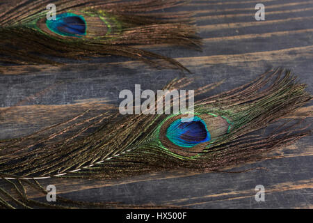 Peacock Feathers on a Rustic Wooden Background. Stock Photo