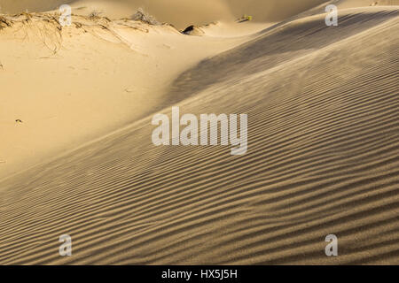 Ripple marks on a dune on Maranjab Desert located in Aran va bidgol County in Iran Stock Photo