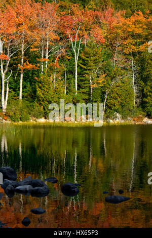 Colorful autumn foliage is reflected in a pond in Acadia National Park near Bar Harbor, Maine. Stock Photo