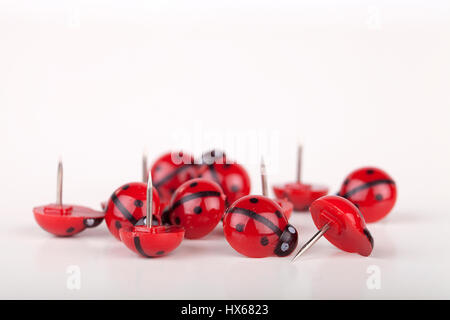 Red ladybug pushpin on a white surface. Ladybird thumbtacks isolated on white background. Stock Photo