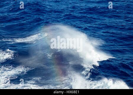 Huge waves and rough seas and sunshine on the open deep ocean