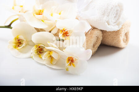White orchid flower isolated on white background Stock Photo