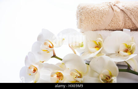 White orchid flower isolated on white background Stock Photo