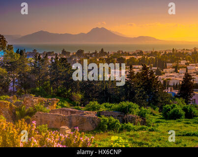 View from hill Byrsa with ancient remains of Carthage and landscape. Stock Photo