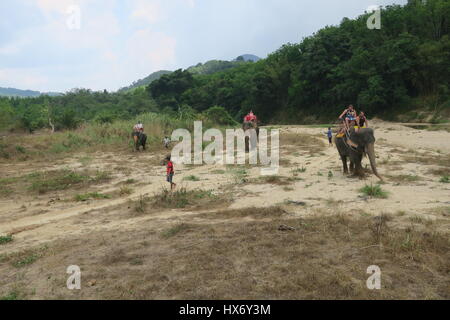 The elephants are carrying tourist in a wooden seats with carpets on their backs, fixed with rope to their legs and tails at Safari park in Thailand Stock Photo