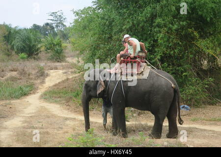 The elephants are carrying tourist in a wooden seats with carpets on their backs, fixed with rope to their legs and tails at Safari park in Thailand Stock Photo