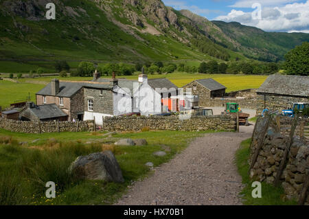 Fell Fppt Farm Great Langdale Cumbria Stock Photo