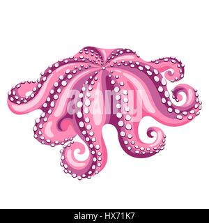 Octopus. Isolated illustration of seafood on white background Stock Vector
