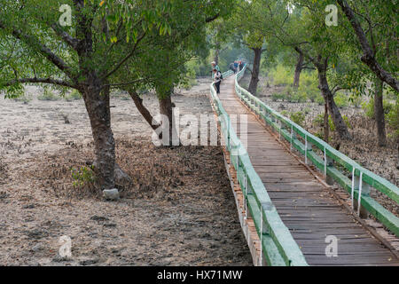 Bangladesh, The Sundarbans, the largest littoral mangrove forest in the world. Sundarbans National Park near Hiron Point. Park boardwalk. Stock Photo