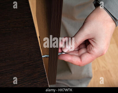 The process of assembling furniture carpenter collects desk chipboard color dark brown wenge. Hand close-up, slips his screw holes in the two boards. Stock Photo