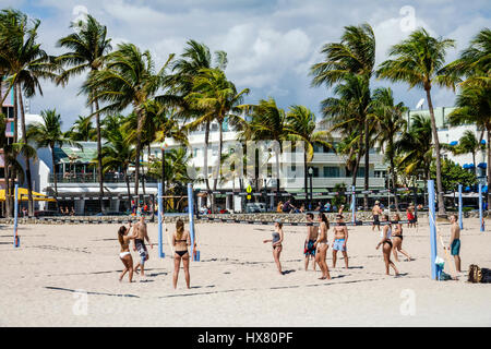 Miami Beach Florida,Ocean Drive,Lummus Park,palm trees,Beach Volley,volleyball court,man men male,woman female women,young adult,bikini,sport,game,tea Stock Photo