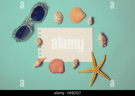 Seashells on blue background. Copy space for your text. Stock Photo
