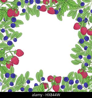 Natural frame of branches of raspberry and blueberry with berries on a white background. Branches dark outline drawn by hand and painted bright colors Stock Vector