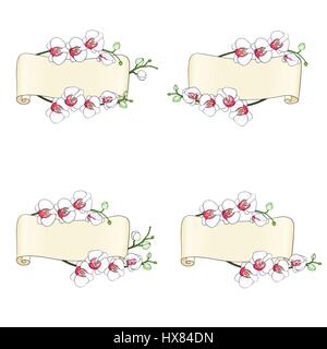 Set of blank scrolls returning edges, surrounded by branches of orchid with bright colors on a white background. Hand drawn vector illustration. Stock Vector