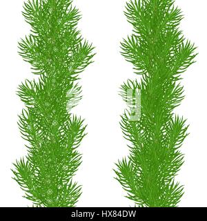 Seamless natural borders of spruce on a white background. One of them with snow and snowflakes, the other of them simple. Christmas pattern. Isolated. Stock Vector