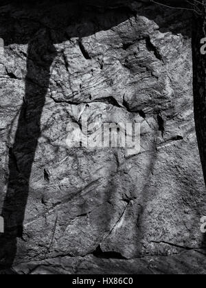 Rock outcropping side view with tree shadow in monochrome Stock Photo