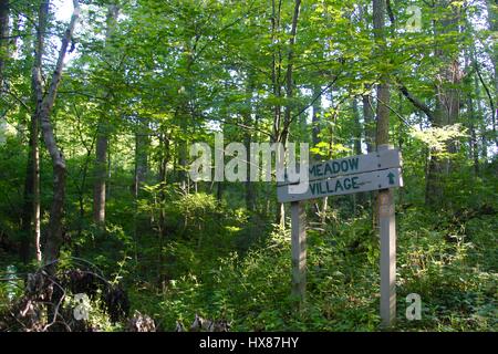 The flowing creek in the forest. Stock Photo