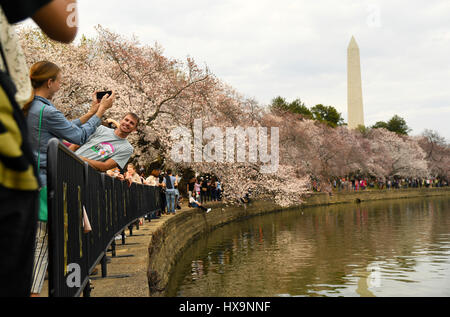 Washington, DC, USA. 25th Mar, 2017. Tourists enjoy the cherry blossoms around the Tidal Basin in Washington, DC, capital of the United States, on March 25, 2017. Credit: Yin Bogu/Xinhua/Alamy Live News Stock Photo