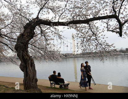 Washington, DC, USA. 25th Mar, 2017. Tourists enjoy the cherry blossoms around the Tidal Basin in Washington, DC, capital of the United States, on March 25, 2017. Credit: Yin Bogu/Xinhua/Alamy Live News Stock Photo