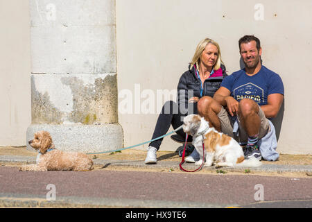 Bournemouth, Dorset, UK. 26th Mar, 2017. UK weather: lovely warm sunny day as visitors head to the seaside to make the most of the sunshine at Bournemouth beaches. Couple sitting on skateboard at Bournemouth promenade with two dogs Credit: Carolyn Jenkins/Ģ����ý Live News Stock Photo